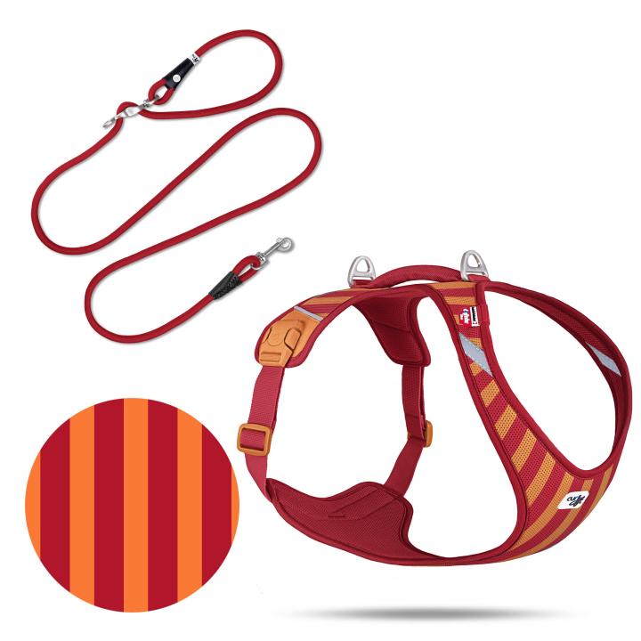 Curli Special Edition 2026  Belka Harness Air-Mesh LE26 + XL Stripes Red