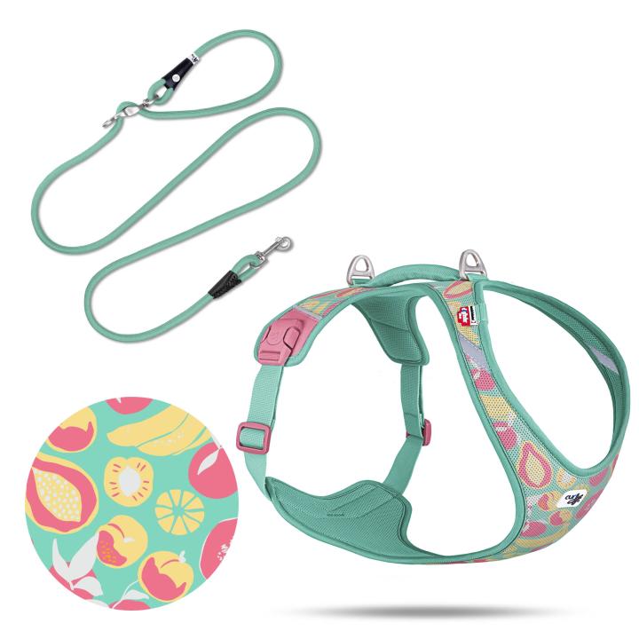 Curli Special Edition 2026  Belka Harness Air-Mesh LE26 + XL Juicy Fruits Turquoise