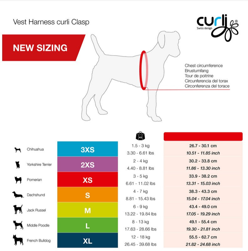 Curli Special Edition 2025 Comic