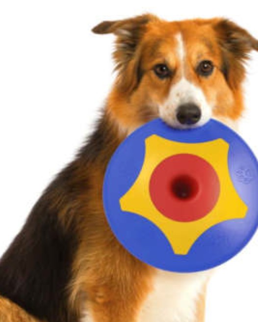 Trotto Disk-Frisbee