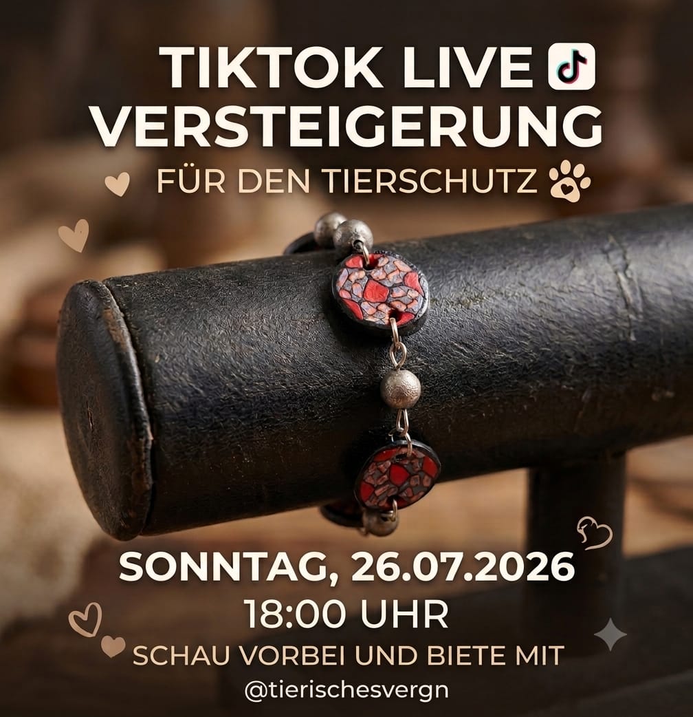 Zaubi Armband