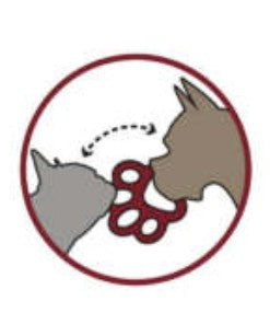 Hundespielzeug Orna