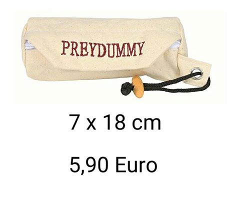 Dummy