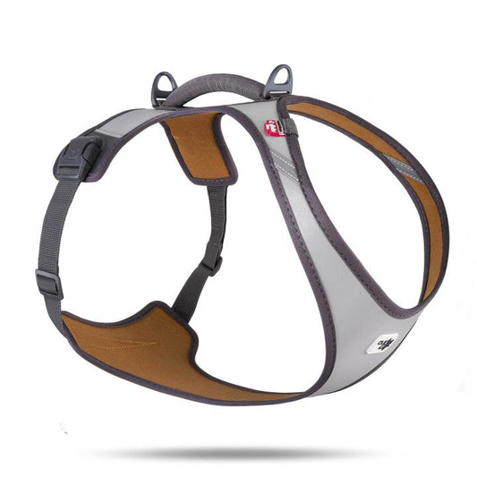 Curli Glow Belka Harness Grau