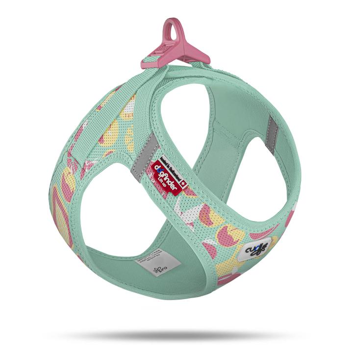 Curli Special Edition 2026  Vest Harness Air-Mesh LE26 Juicy Fruits Turquoise