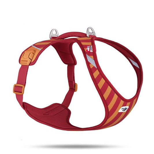 Curli Special Edition 2026  Belka Harness Air-Mesh LE26 Stripes Red