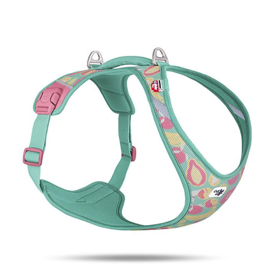 Curli Special Edition 2026  Belka Harness Air-Mesh LE26 Juicy Fruits Turquoise