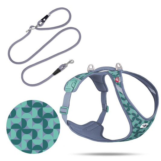 Curli Special Edition 2026  Belka Harness Air-Mesh LE26 + XL Semi Circle Blue