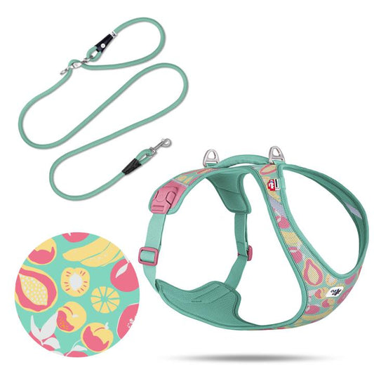 Curli Special Edition 2026  Belka Harness Air-Mesh LE26 + XL Juicy Fruits Turquoise