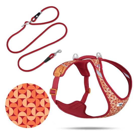 Curli Special Edition 2026  Belka Harness Air-Mesh LE26 + XL Semi Circle Red