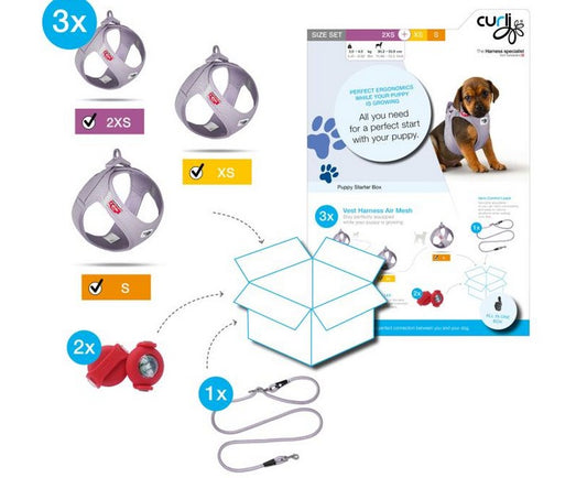 Curli Puppy Starter Box Lilac