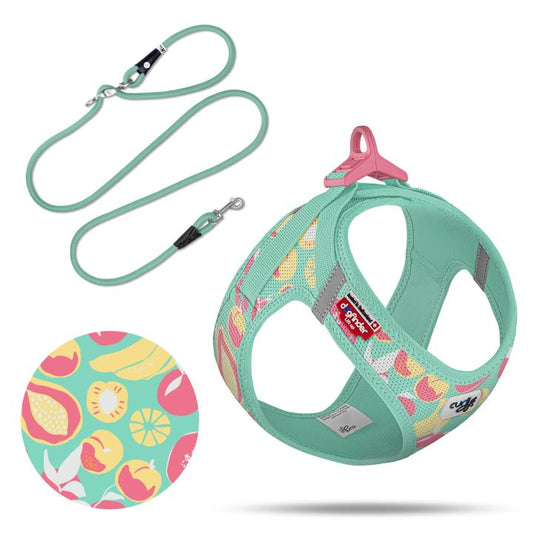 Curli Special Edition 2026  Vest Harness Air-Mesh LE26 + Leash Juicy Fruits Turquoise