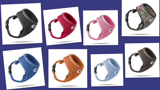 Curli Basic Geschirr Air-Mesh